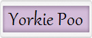 Yorkie Poo