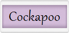 Cockapoo