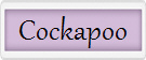 Cockapoo