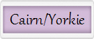 Cairn/Yorkie