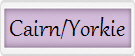 Cairn/Yorkie